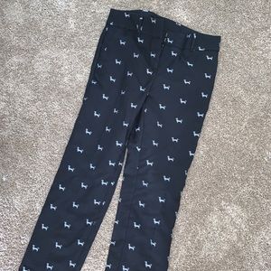 loft dress pants